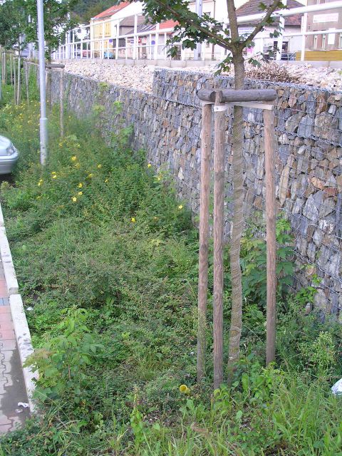 LIDL OPERKA 2004.jpg